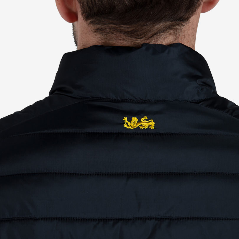 Куртка мужская canterbury british-irish-lions 2021 light weight padded jacket продажа