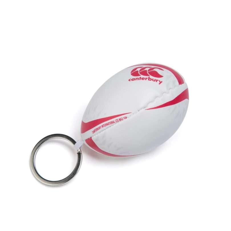 Брелок для ключей british irish lions ball keyring Британских Львов покупка