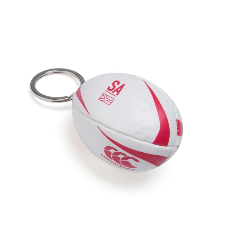 Брелок для ключей british irish lions ball keyring Британских Львов покупка