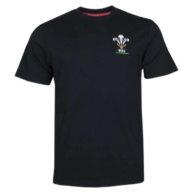 Футболка детская wales rugby kids logo tee black уэльс регби продажа