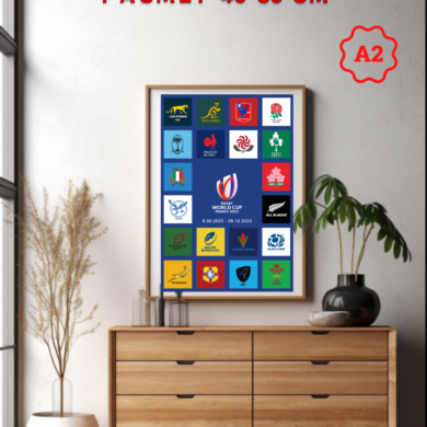 Постер - плакат по регби Rugby World Cup 2023 плакат на стену купить с доставкой по РФ